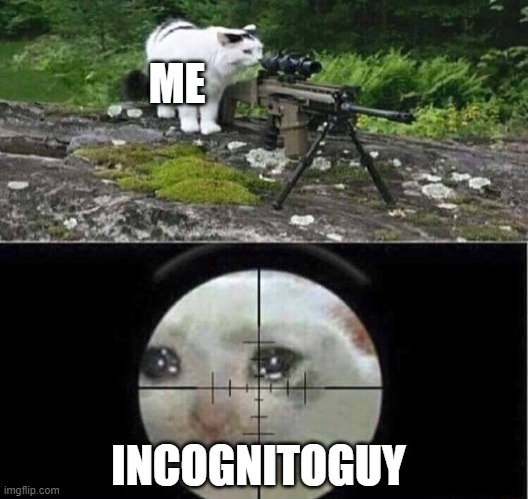 Sniper cat | ME; INCOGNITOGUY | image tagged in sniper cat | made w/ Imgflip meme maker