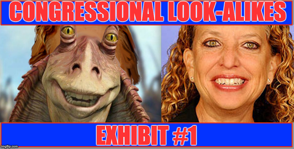 Debbie Wasserman-Binks | CONGRESSIONAL LOOK-ALIKES; EXHIBIT #1 | image tagged in politics,congress,liberals | made w/ Imgflip meme maker