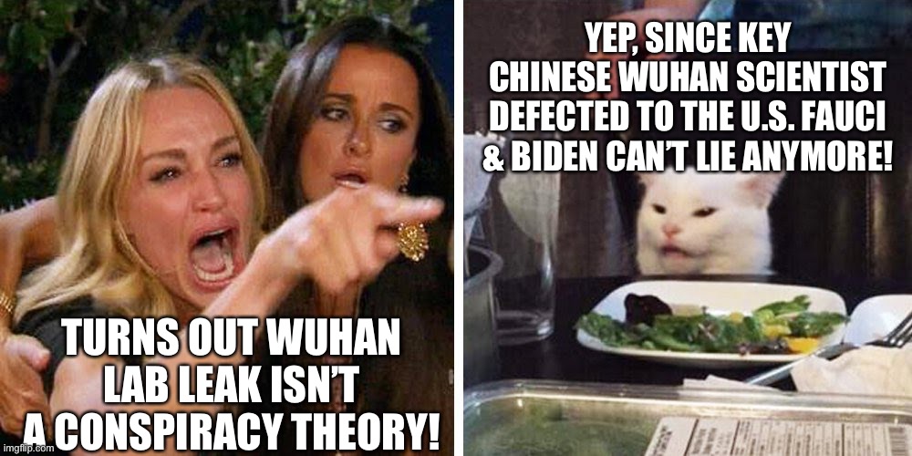 Turns Out Chinese Wuhan Lab Leak Isn’t A Conspiracy Theory! | YEP, SINCE KEY CHINESE WUHAN SCIENTIST DEFECTED TO THE U.S. FAUCI & BIDEN CAN’T LIE ANYMORE! TURNS OUT WUHAN LAB LEAK ISN’T A CONSPIRACY THEORY! | image tagged in smudge the cat,memes,china wuhan lab leak,conspiracy theory,dr fauci lied,biden lied | made w/ Imgflip meme maker