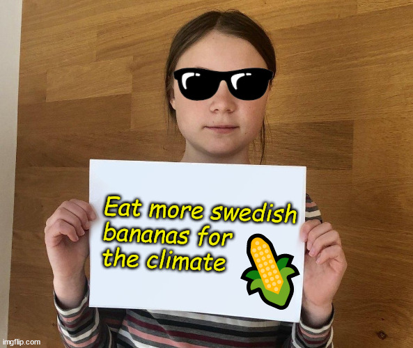 Popcorn för klimatet | Eat more swedish 
bananas for 
the climate; 🌽 | image tagged in greta | made w/ Imgflip meme maker
