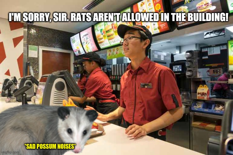 Stop discrimination against possums! |  I'M SORRY, SIR. RATS AREN'T ALLOWED IN THE BUILDING! *SAD POSSUM NOISES* | image tagged in possum,love,mcdonalds,fast food,no,discrimination | made w/ Imgflip meme maker
