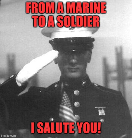 Out F**king Standing!!! | FROM A MARINE TO A SOLDIER I SALUTE YOU! | image tagged in out f king standing | made w/ Imgflip meme maker