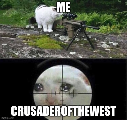 For Wubbzy and Omega. See you in 4 days | ME; CRUSADEROFTHEWEST | image tagged in sniper cat aim crying cat | made w/ Imgflip meme maker