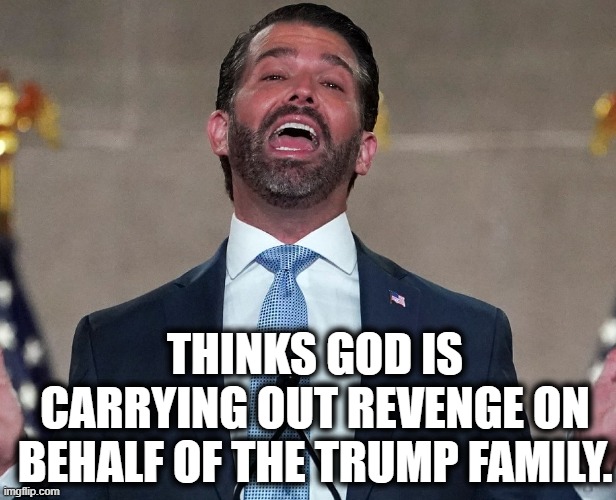 Failure Junior | THINKS GOD IS CARRYING OUT REVENGE ON BEHALF OF THE TRUMP FAMILY. | image tagged in donald trump jr,trump,god,revenge,insance,convict | made w/ Imgflip meme maker