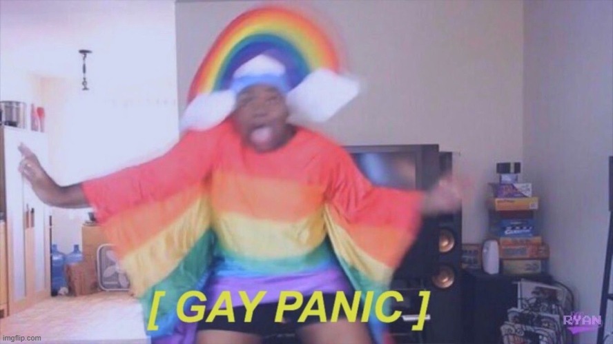 New template | image tagged in gay panic | made w/ Imgflip meme maker