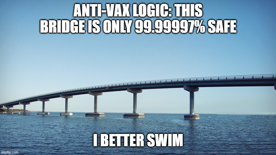 bridge | ANTI-VAX LOGIC: THIS BRIDGE IS ONLY 99.99997% SAFE; I BETTER SWIM | image tagged in bridge | made w/ Imgflip meme maker