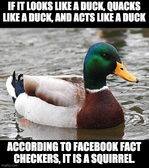 Duck | IF IT LOOKS LIKE A DUCK, QUACKS LIKE A DUCK, AND ACTS LIKE A DUCK; ACCORDING TO FACEBOOK FACT CHECKERS, IT IS A SQUIRREL. | image tagged in good advise duck | made w/ Imgflip meme maker