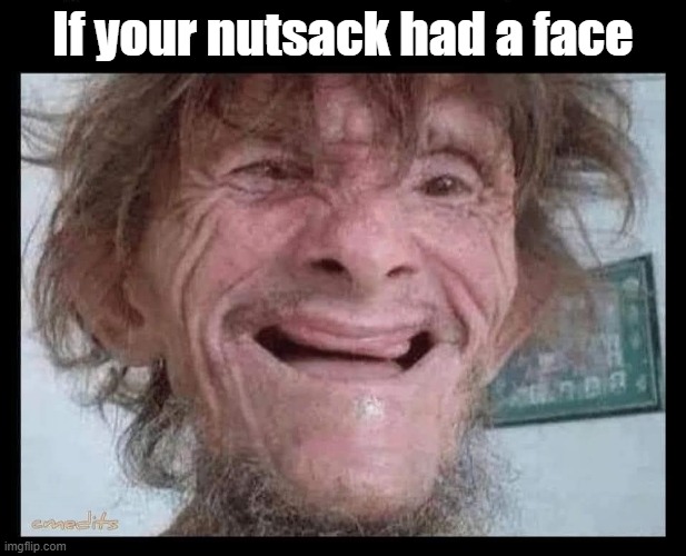 If your nutsack had a face | If your nutsack had a face | image tagged in funny | made w/ Imgflip meme maker