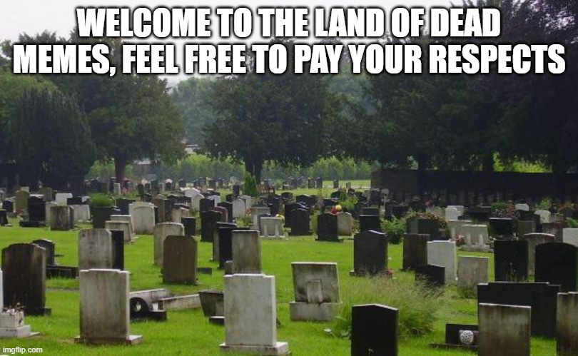 No witty title here. | WELCOME TO THE LAND OF DEAD MEMES, FEEL FREE TO PAY YOUR RESPECTS | image tagged in graveyard | made w/ Imgflip meme maker