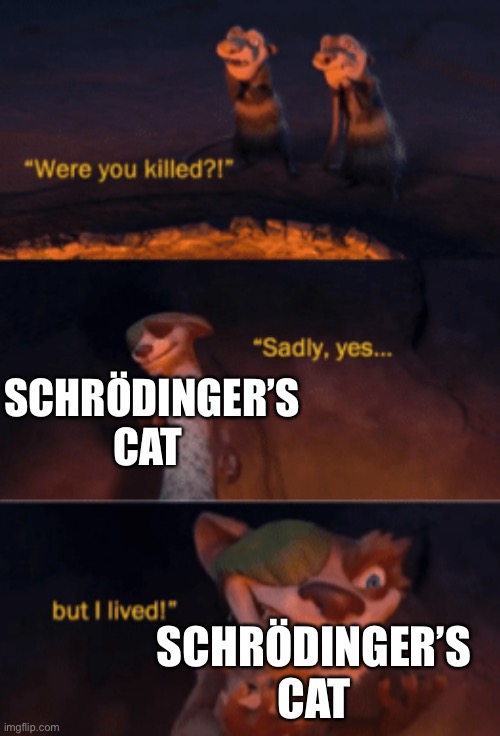 you is made out of illegal | SCHRÖDINGER’S CAT; SCHRÖDINGER’S CAT | image tagged in were you killed,hmmm,how | made w/ Imgflip meme maker