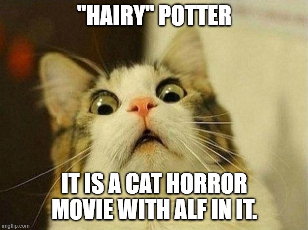 Scared Cat Meme | "HAIRY" POTTER IT IS A CAT HORROR MOVIE WITH ALF IN IT. | image tagged in memes,scared cat | made w/ Imgflip meme maker