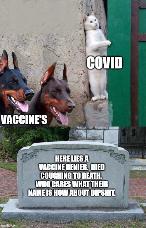 COVID; VACCINE'S; HERE LIES A VACCINE DENIER.  DIED COUGHING TO DEATH.  WHO CARES WHAT THEIR NAME IS HOW ABOUT DIPSHIT. | image tagged in sneaky cat,gravestone | made w/ Imgflip meme maker
