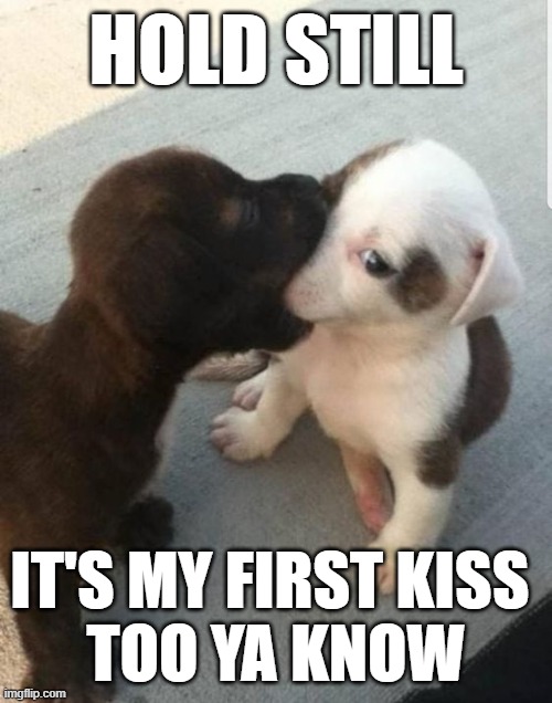 Hold Still | HOLD STILL; IT'S MY FIRST KISS 
TOO YA KNOW | image tagged in cute puppy,kissing | made w/ Imgflip meme maker