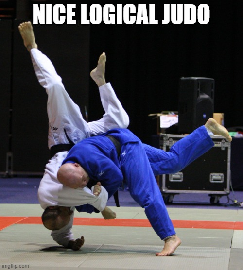 Judo Throw | NICE LOGICAL JUDO | image tagged in judo throw | made w/ Imgflip meme maker