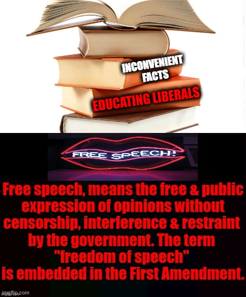 Constitution 101 | INCONVENIENT 

FACTS; EDUCATING LIBERALS | image tagged in politics,free speech,first amendment,america,educating liberalss | made w/ Imgflip meme maker