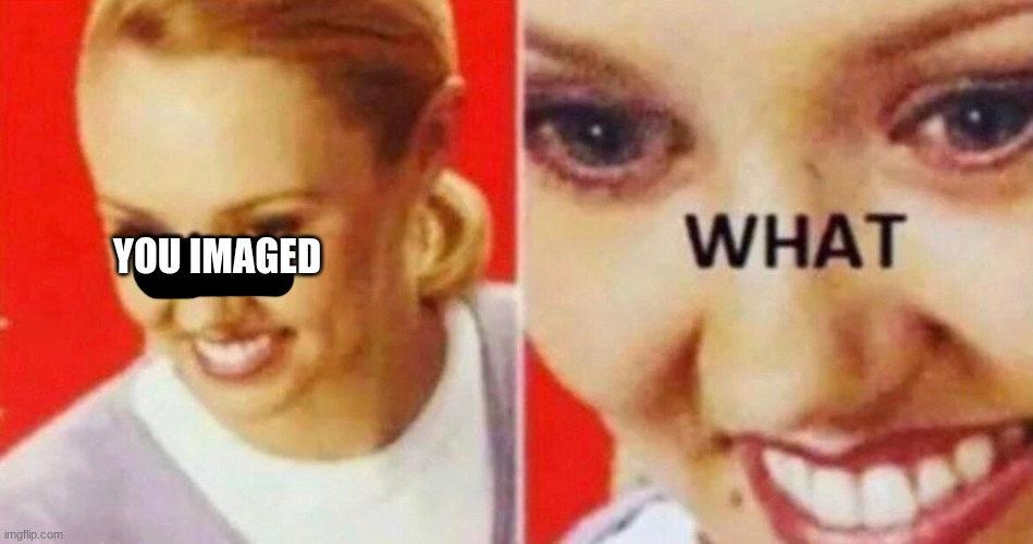 the what | YOU IMAGED | image tagged in the what | made w/ Imgflip meme maker