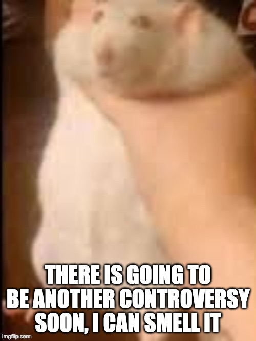 "n word n word n word n word" "imaging being a (bleep) who thinks he is funny" | THERE IS GOING TO BE ANOTHER CONTROVERSY SOON, I CAN SMELL IT | image tagged in man holding hamster | made w/ Imgflip meme maker