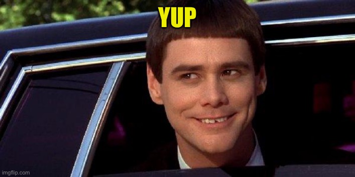 dumb and dumber | YUP | image tagged in dumb and dumber | made w/ Imgflip meme maker