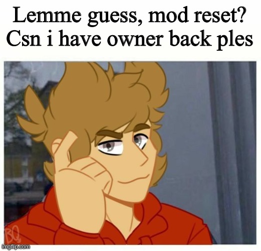 tord smart | Lemme guess, mod reset? Csn i have owner back ples | image tagged in tord smart | made w/ Imgflip meme maker
