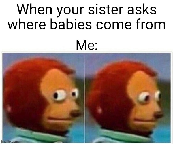 Monkey Puppet Meme | When your sister asks where babies come from; Me: | image tagged in memes,monkey puppet | made w/ Imgflip meme maker