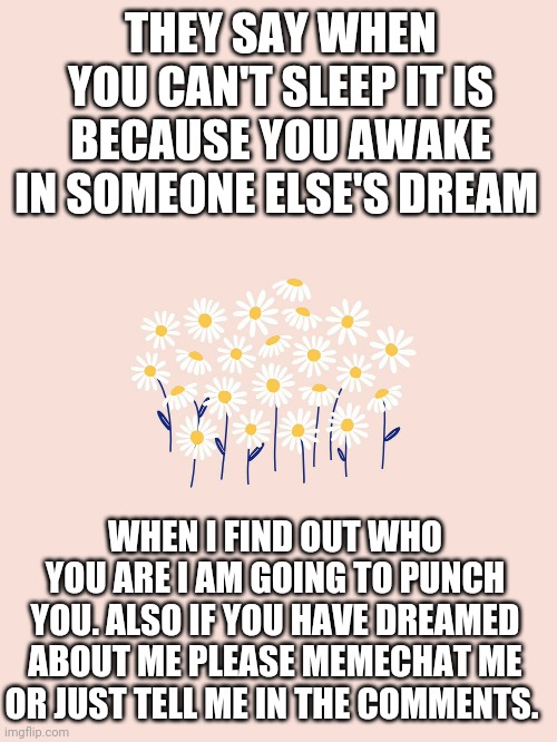 I need to sleep | THEY SAY WHEN YOU CAN'T SLEEP IT IS BECAUSE YOU AWAKE IN SOMEONE ELSE'S DREAM; WHEN I FIND OUT WHO YOU ARE I AM GOING TO PUNCH YOU. ALSO IF YOU HAVE DREAMED ABOUT ME PLEASE MEMECHAT ME OR JUST TELL ME IN THE COMMENTS. | image tagged in sleep | made w/ Imgflip meme maker