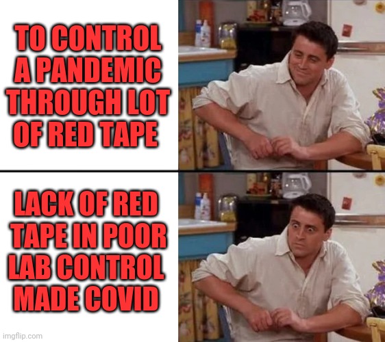 You just have to live your life and not get caught up in the insanity. | TO CONTROL
A PANDEMIC
THROUGH LOT
OF RED TAPE; LACK OF RED
 TAPE IN POOR
LAB CONTROL
MADE COVID | image tagged in surprised joey | made w/ Imgflip meme maker