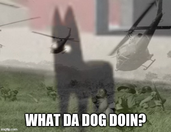 Good Boy PTSD | WHAT DA DOG DOIN? | image tagged in good boy ptsd | made w/ Imgflip meme maker