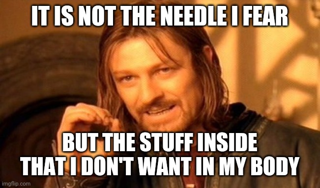 One Does Not Simply Meme | IT IS NOT THE NEEDLE I FEAR BUT THE STUFF INSIDE THAT I DON'T WANT IN MY BODY | image tagged in memes,one does not simply | made w/ Imgflip meme maker