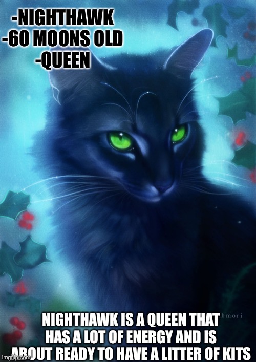 Nighthawk | -NIGHTHAWK
-60 MOONS OLD
-QUEEN; NIGHTHAWK IS A QUEEN THAT HAS A LOT OF ENERGY AND IS ABOUT READY TO HAVE A LITTER OF KITS | made w/ Imgflip meme maker