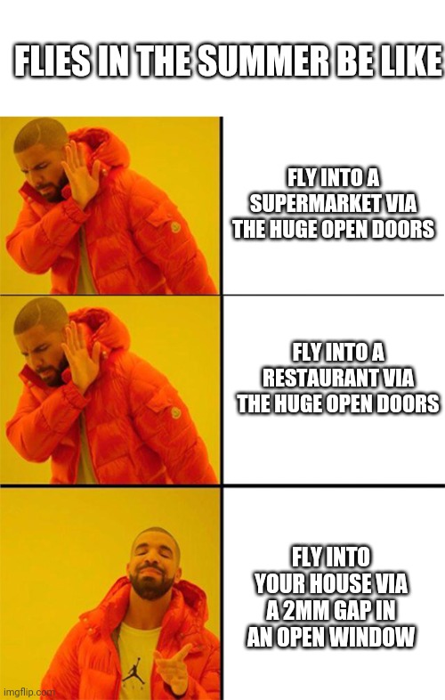 Drake meme 3 panels | FLIES IN THE SUMMER BE LIKE; FLY INTO A SUPERMARKET VIA THE HUGE OPEN DOORS; FLY INTO A RESTAURANT VIA THE HUGE OPEN DOORS; FLY INTO YOUR HOUSE VIA A 2MM GAP IN AN OPEN WINDOW | image tagged in drake meme 3 panels | made w/ Imgflip meme maker