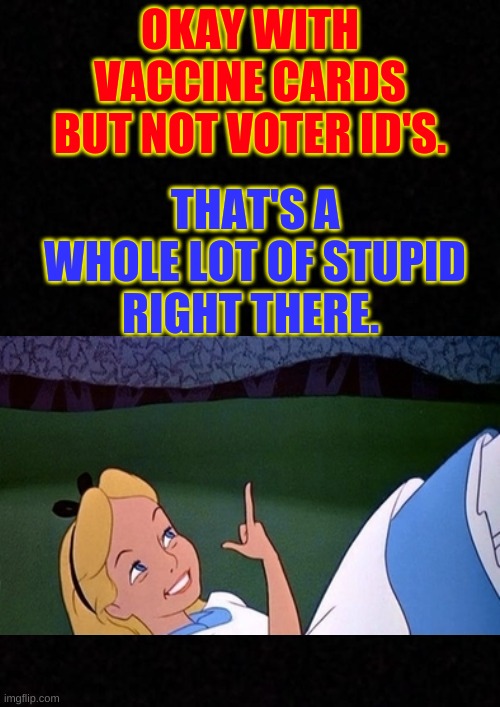 Blank  |  OKAY WITH VACCINE CARDS BUT NOT VOTER ID'S. THAT'S A WHOLE LOT OF STUPID RIGHT THERE. | image tagged in voter id | made w/ Imgflip meme maker