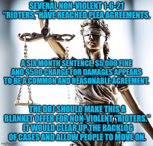 Everybody makes mistakes. | SEVERAL NON-VIOLENT 1-6-21 "RIOTERS,"HAVE REACHED PLEA AGREEMENTS. A SIX MONTH SENTENCE, $5,000 FINE AND $500 CHARGE FOR DAMAGES APPEARS TO BE A COMMON AND REASONABLE AGREEMENT. THE DOJ SHOULD MAKE THIS A BLANKET OFFER FOR NON-VIOLENT "RIOTERS."  IT WOULD CLEAR UP THE BACKLOG OF CASES AND ALLOW PEOPLE TO MOVE ON. | image tagged in politics | made w/ Imgflip meme maker