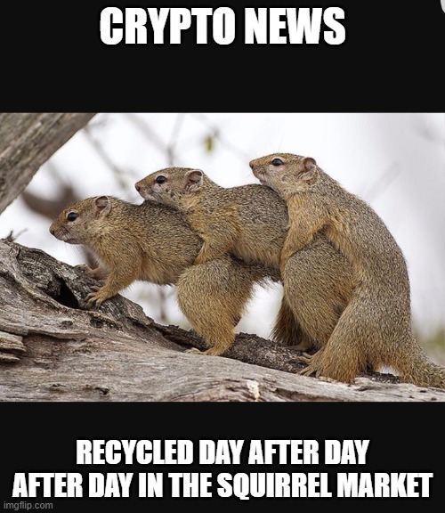 Squirrels having threesomes | CRYPTO NEWS; RECYCLED DAY AFTER DAY AFTER DAY IN THE SQUIRREL MARKET | image tagged in squirrels having threesomes | made w/ Imgflip meme maker