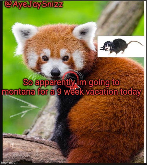 AyeJaySnizz Red Panda Announcement | So apparently im going to montana for a 9 week vacation today | image tagged in ayejaysnizz red panda announcement | made w/ Imgflip meme maker