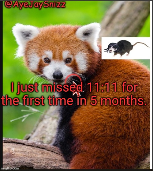 AyeJaySnizz Red Panda Announcement | I just missed 11:11 for the first time in 5 months. | image tagged in ayejaysnizz red panda announcement | made w/ Imgflip meme maker