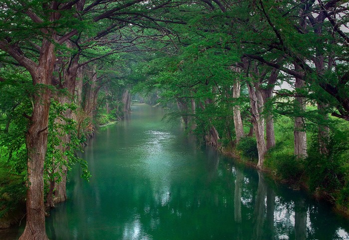 image tagged in nature,photography