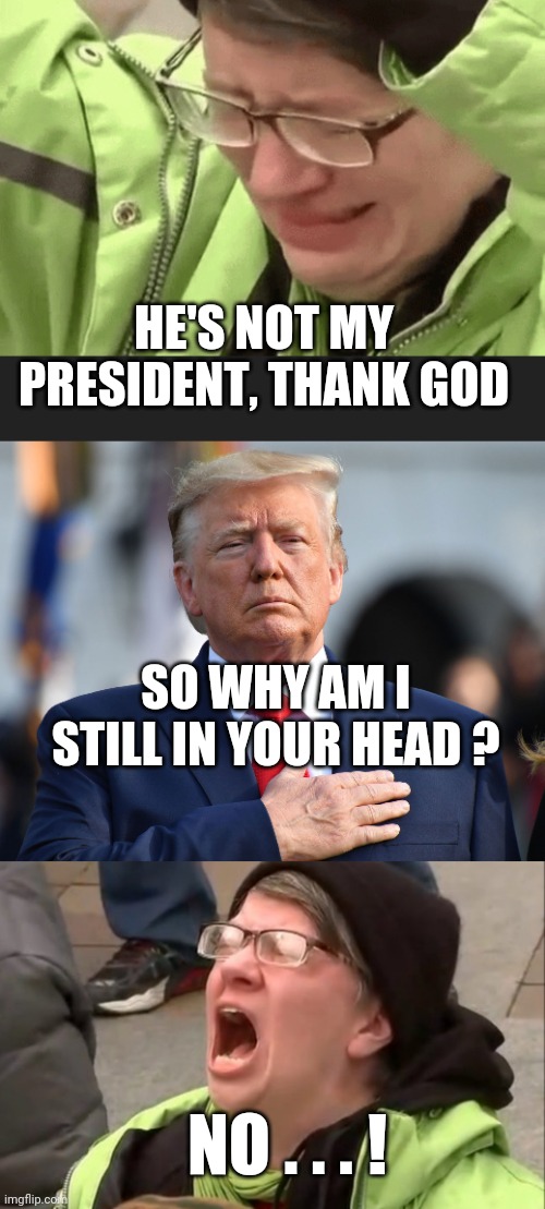 Deranged by Pres Trump? | HE'S NOT MY PRESIDENT, THANK GOD; SO WHY AM I STILL IN YOUR HEAD ? NO . . . ! | image tagged in donald trump,liberals,democrats,socialism,biden,kamala harris | made w/ Imgflip meme maker