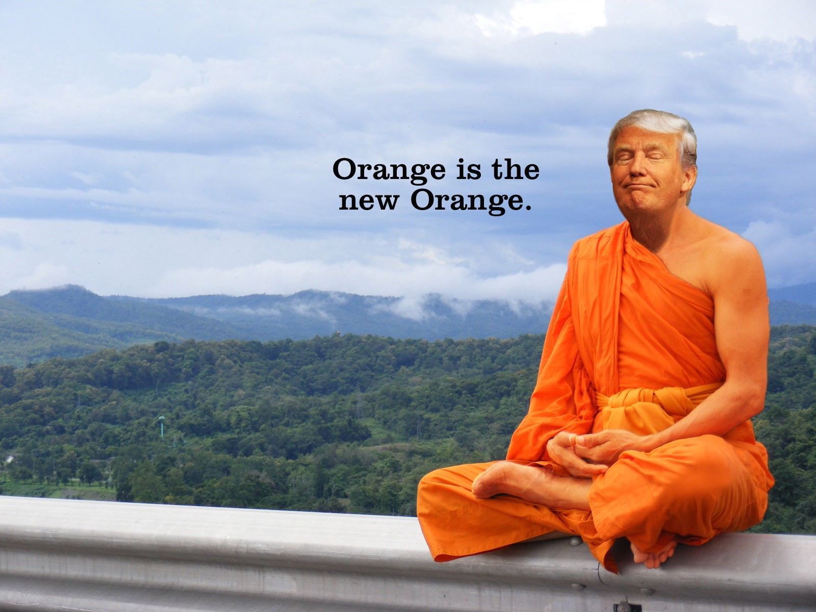 Orange is the new orange Blank Meme Template