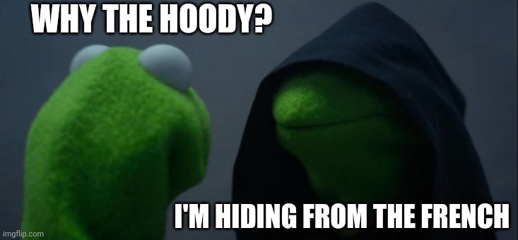 Evil Kermit Meme | WHY THE HOODY? I'M HIDING FROM THE FRENCH | image tagged in memes,evil kermit | made w/ Imgflip meme maker