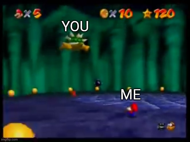 So long Gay Bowser | ME YOU | image tagged in so long gay bowser | made w/ Imgflip meme maker