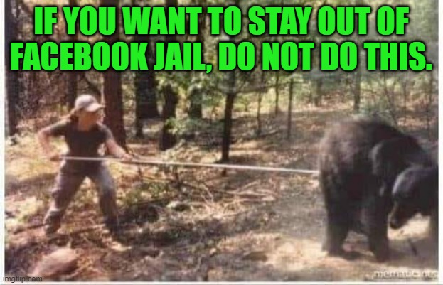 Don't poke the bear | IF YOU WANT TO STAY OUT OF FACEBOOK JAIL, DO NOT DO THIS. | image tagged in facebook jail,facebook,i will offend everyone,offend | made w/ Imgflip meme maker
