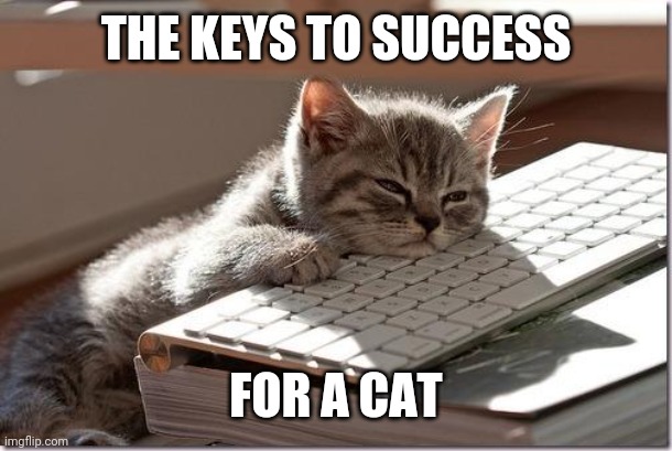 Bored Keyboard Cat | THE KEYS TO SUCCESS; FOR A CAT | image tagged in bored keyboard cat | made w/ Imgflip meme maker