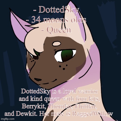 - DottedSky
- 34 moons olds
- Queen; DottedSky is a loyal warrior and kind queen with four kits, Berrykit, Thornkit, Fluffkit, and Dewkit. Her mate is RaggedWillow | made w/ Imgflip meme maker