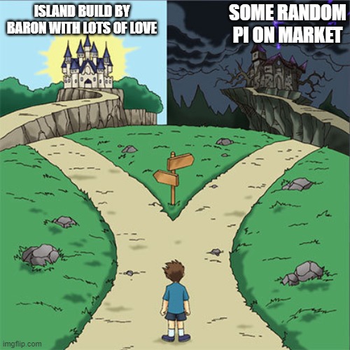 Two Paths | SOME RANDOM PI ON MARKET; ISLAND BUILD BY BARON WITH LOTS OF LOVE | image tagged in two paths | made w/ Imgflip meme maker