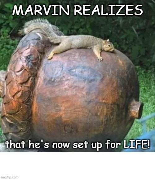 UTOPIA! | MARVIN REALIZES; that he's now set up for LIFE! | image tagged in acorn,squirrel | made w/ Imgflip meme maker