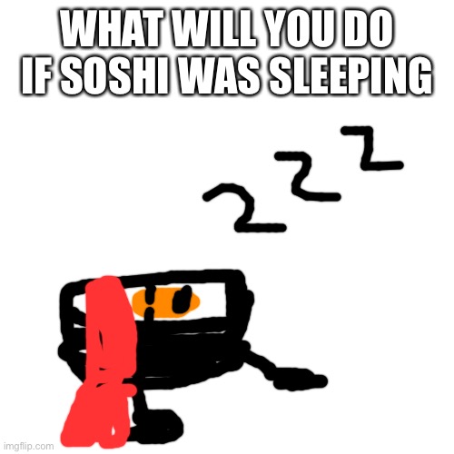 Blank Transparent Square | WHAT WILL YOU DO IF SOSHI WAS SLEEPING | image tagged in memes,blank transparent square | made w/ Imgflip meme maker