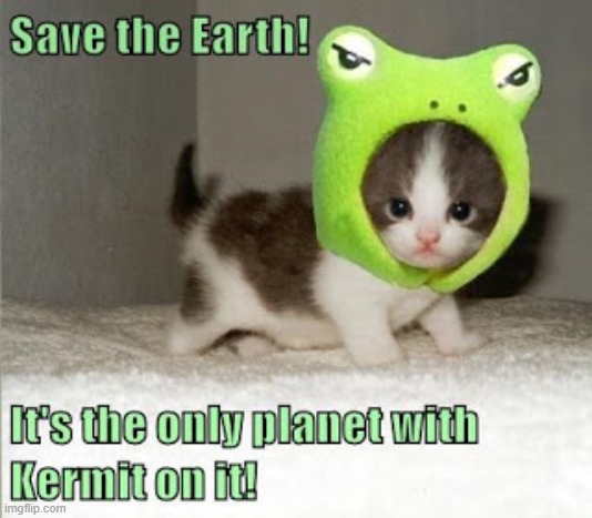 Save the planet! It's the only planet with Kermit on it. | image tagged in lolcat,planet,kermit,funny cat | made w/ Imgflip meme maker