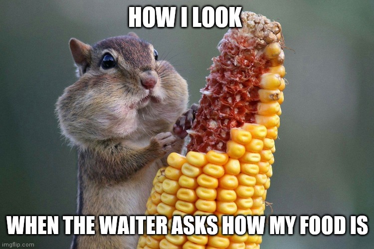 HOW I LOOK; WHEN THE WAITER ASKS HOW MY FOOD IS | image tagged in food | made w/ Imgflip meme maker