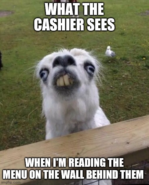 WHAT THE CASHIER SEES; WHEN I'M READING THE MENU ON THE WALL BEHIND THEM | image tagged in funny memes,fast food | made w/ Imgflip meme maker