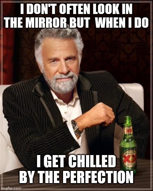The Most Interesting Man In The World Meme | I DON'T OFTEN LOOK IN THE MIRROR BUT  WHEN I DO; I GET CHILLED BY THE PERFECTION | image tagged in memes,the most interesting man in the world | made w/ Imgflip meme maker